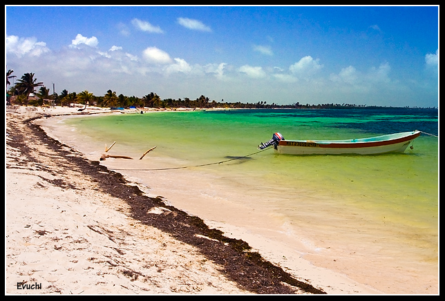Playa paradisiaca
Keywords: Playa Riviera maya Mexico paradisiaca agua mar arena barca vacaciones descanso