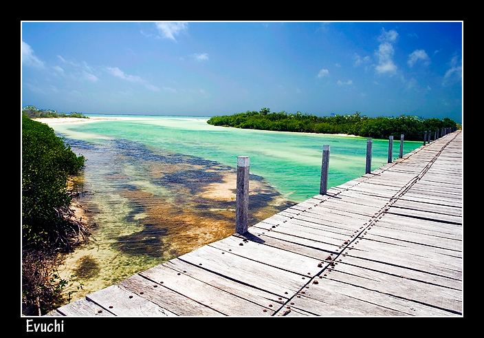  Reserva de Sian Kaan
Keywords: reserva sian kaan mexico mar playa aguas claras biosfera riviera maya  mar