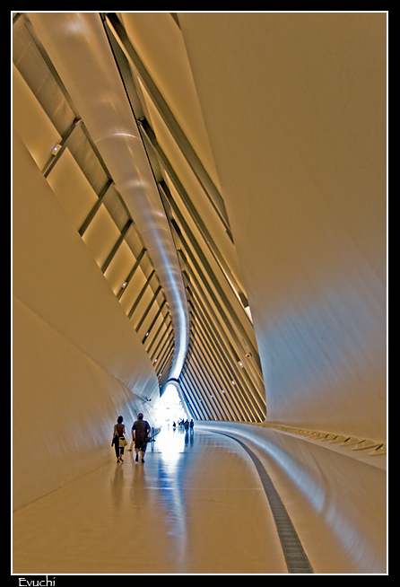 Pasillo de Matrix (pasarela puente)
Keywords: Expo zaragoza pasarela puente pasillo 2008 aragon conceptual