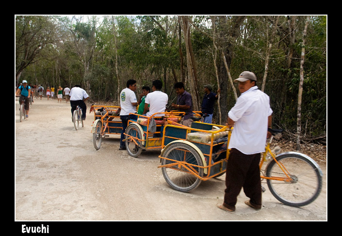Limusina en CobÃ¡
Keywords: limusina bicis recorrido excursiÃ³n triciclo cobÃ¡ mexico riviera maya conductores