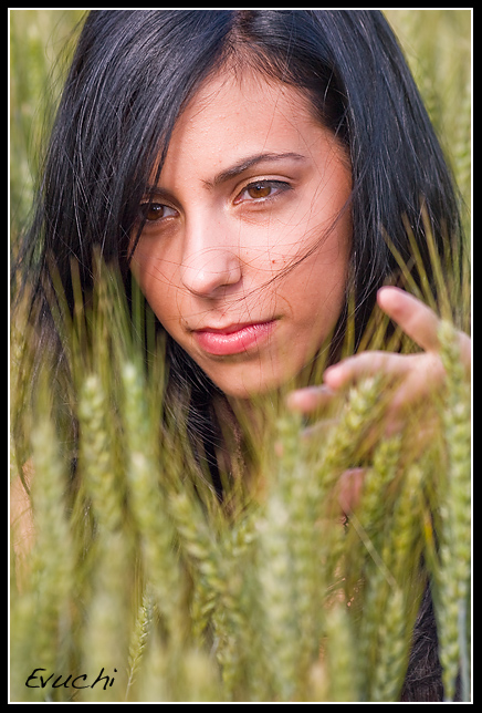 Vicky acecha sigilosa
Keywords: Vicky modelo retrato exteriores campo trigal barcelona moia caborian