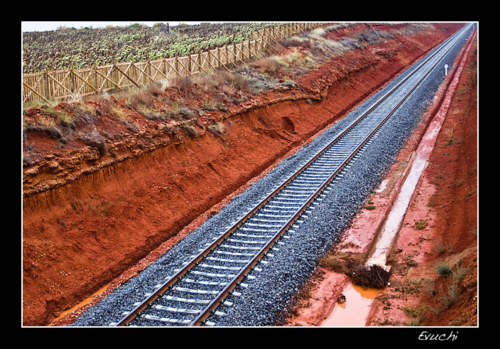Viaje en tren a ninguna parte

