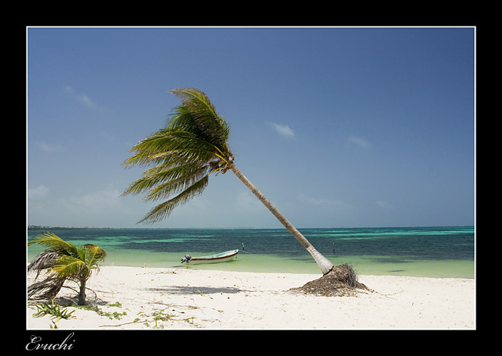 Punta Allen
Keywords: caribe riviera maya playa paraiso punta allen arena mar palmera mexico