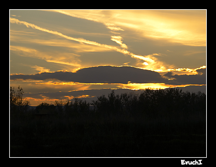 Cuando el sol se va
Keywords: atardecer ebro galacho