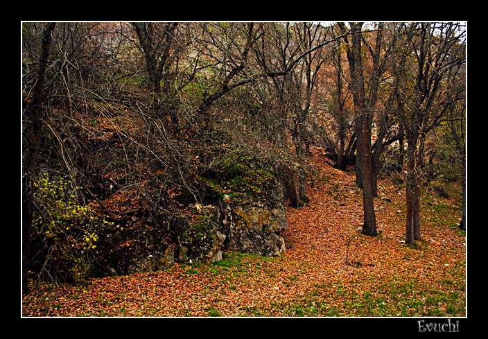OtoÃ±o
Keywords: hoces rio piedra otoÃƒÂ±o