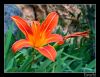 Filename=primavera.jpg
Filesize=198KiB
Dimensions=704x544
Date added=Apr 01, 2007 primavera.jpg
