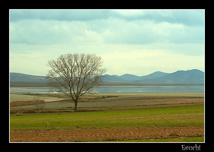 Paisaje de Gallocanta
Keywords: paisaje gallocanta laguna